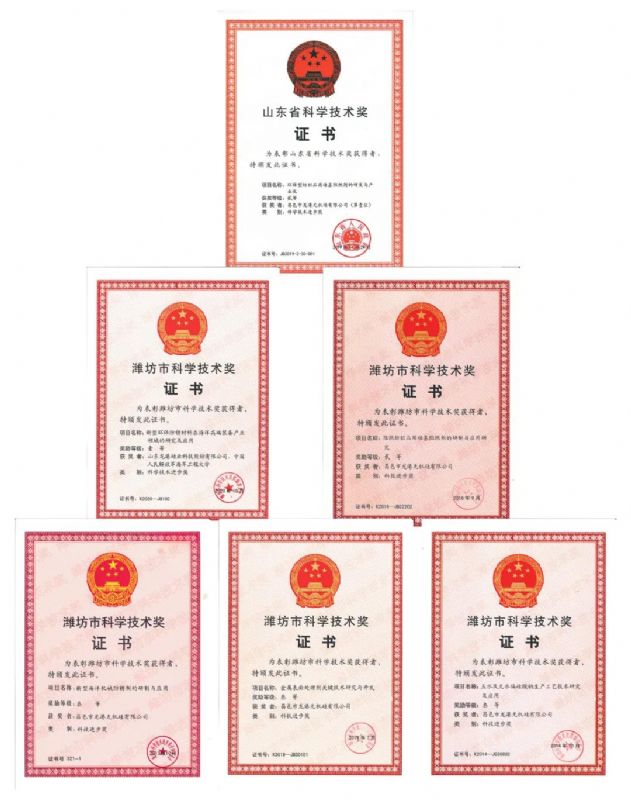 [good news] Longgang silicon Co., Ltd. won the first prize of Weifang Science and Technology Progress Award！