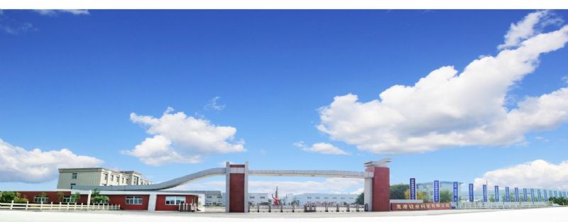 回首過去，不忘初心；展望未來，砥礪前行丨2019，龍港再出發(fā)！