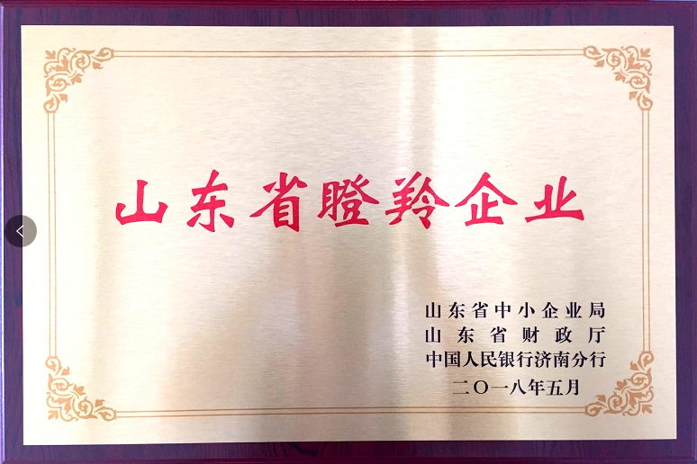 回首過去，不忘初心；展望未來，砥礪前行丨2019，龍港再出發(fā)！