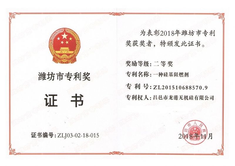 回首過去，不忘初心；展望未來，砥礪前行丨2019，龍港再出發(fā)！