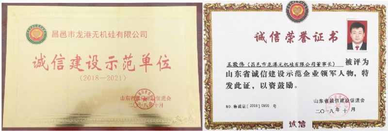 回首過去，不忘初心；展望未來，砥礪前行丨2019，龍港再出發(fā)！