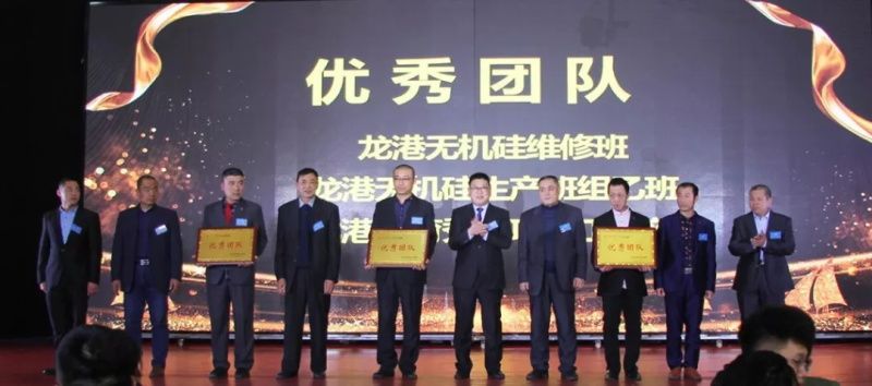 “感恩相伴?筑夢(mèng)同行”——龍港集團(tuán)2019新春年會(huì)盛大舉行！