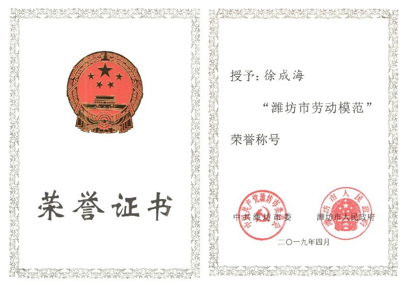【員工風(fēng)采】龍港無機硅員工徐成海榮獲“濰坊市勞動模范”榮譽稱號！