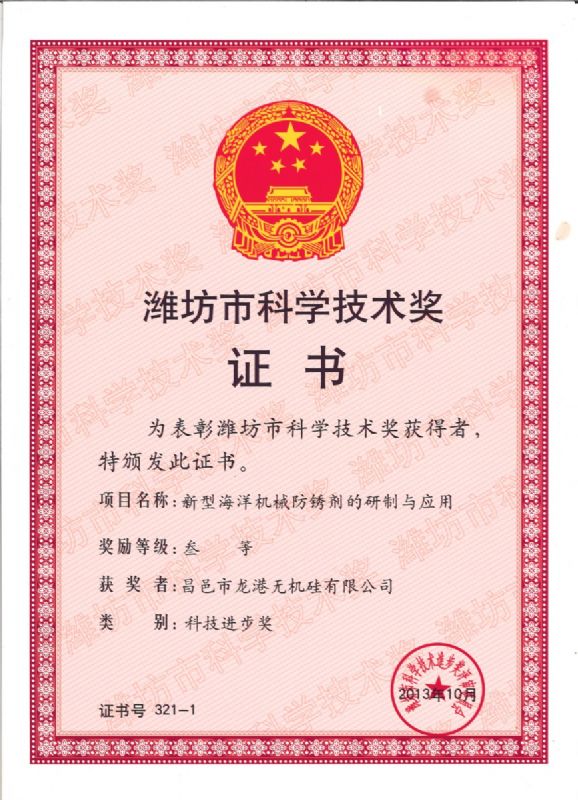 【喜訊】龍港硅業(yè)公司喜獲濰坊市科技進(jìn)步獎(jiǎng)一等獎(jiǎng)！