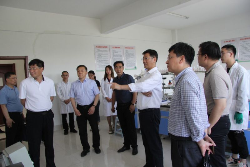 省政府研究室黨組成員、副主任趙昌軍帶隊(duì)到龍港集團(tuán)調(diào)研推動“工業(yè)強(qiáng)基”基本情況