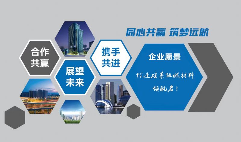 喜報(bào)｜龍港硅業(yè)又獲一項(xiàng)省級(jí)“硬核”獎(jiǎng)！